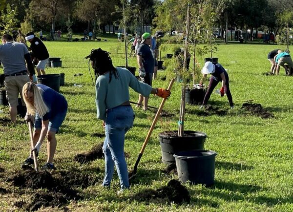 Planting